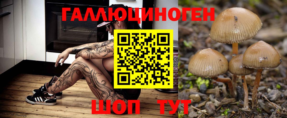 Дербент  Галлюциногенные грибы Psilocybine cubensis  Вход с VPN  Галлюциногенные грибы мухоморы 