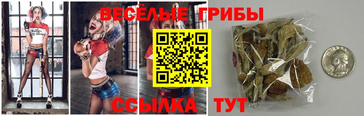 Псилоцибиновые грибы Magic Shrooms Дербент
